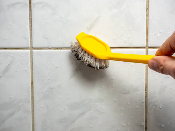 Home Mold Removal in University At Buffalo, NY