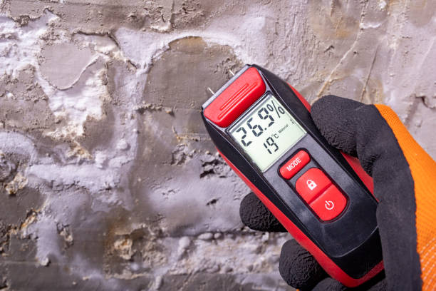 Best Residential Mold Removal  in University At Buffalo, NY